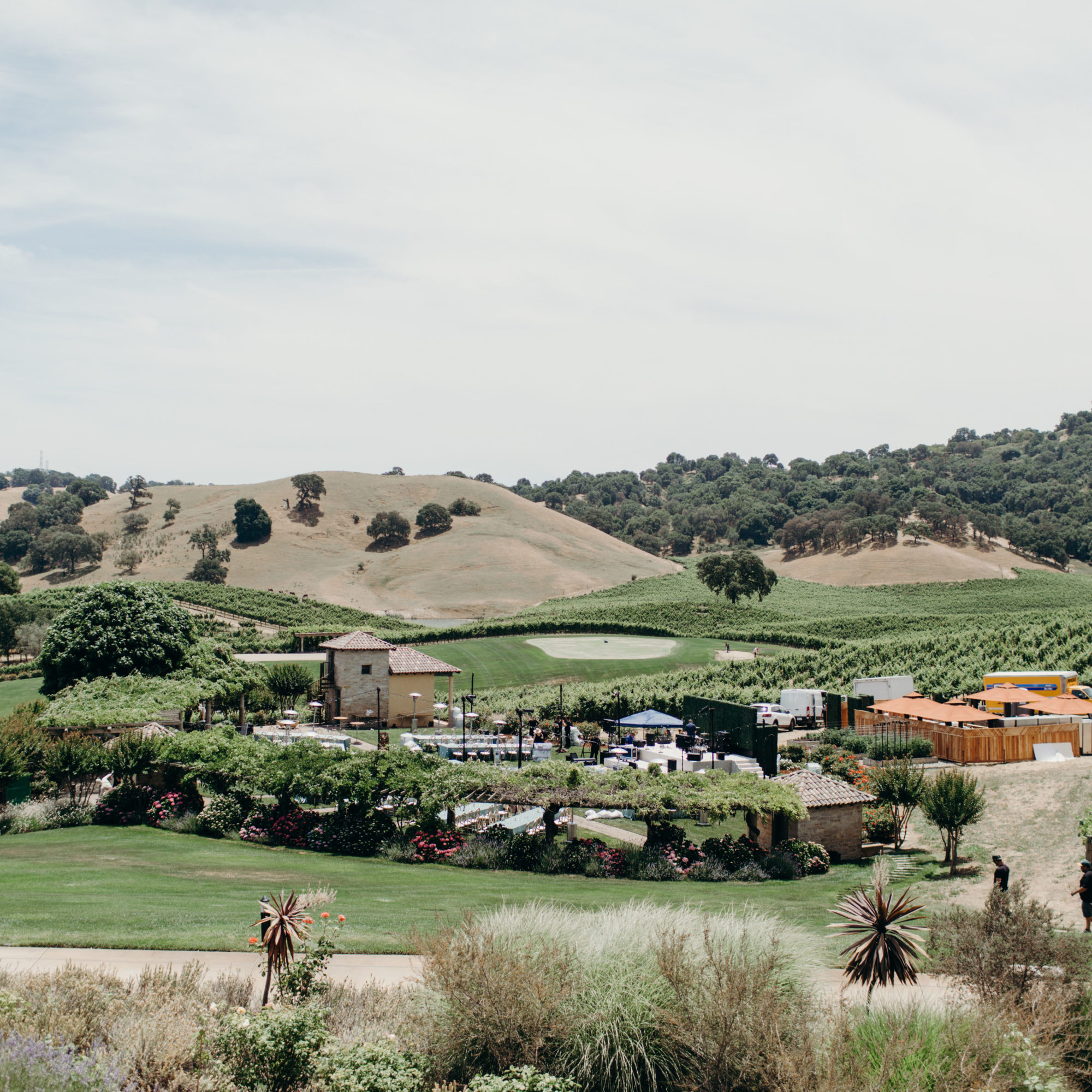 A view of the estate and vineyards.