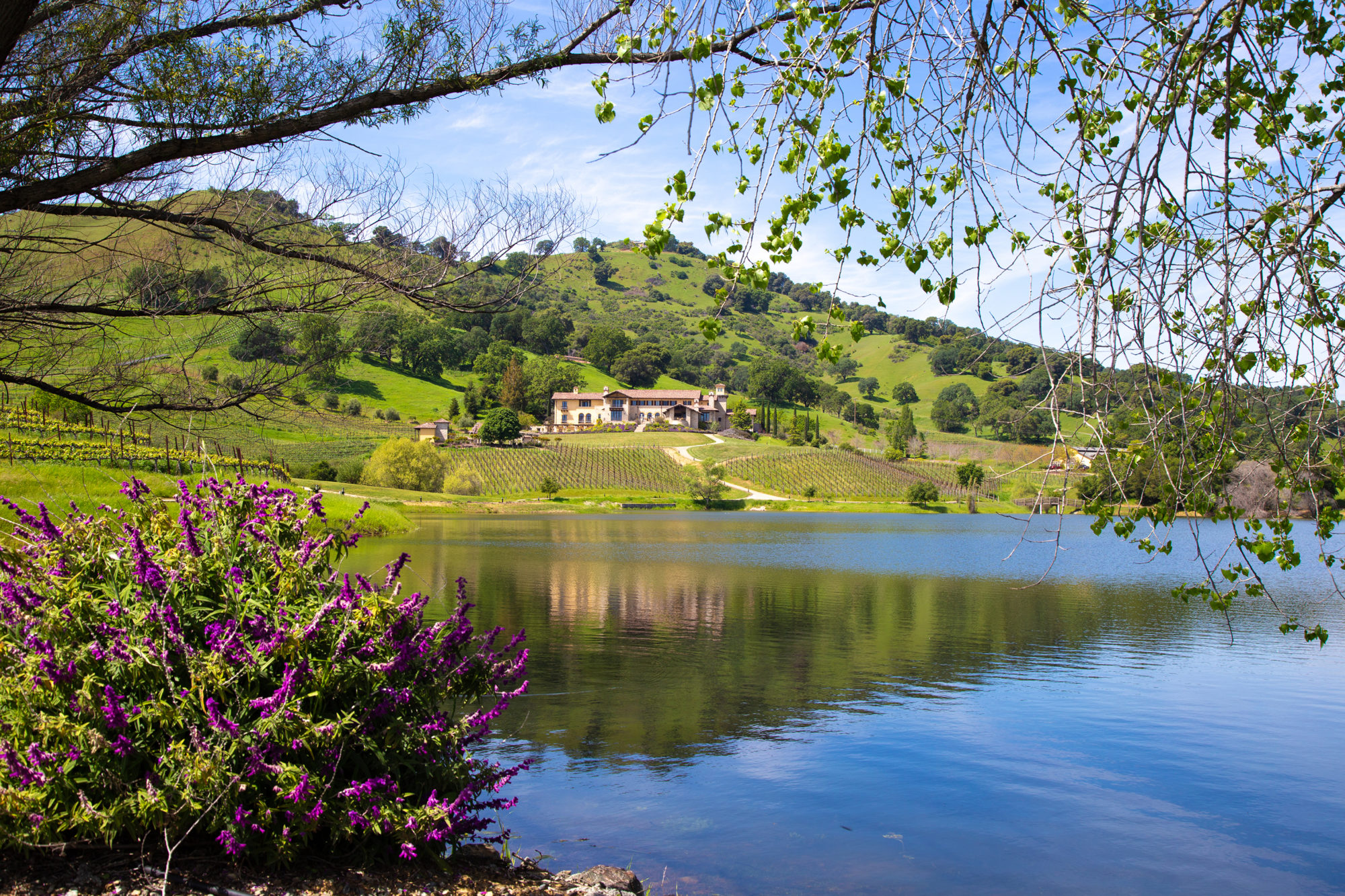 A view of the estate from across the pond in the Spring